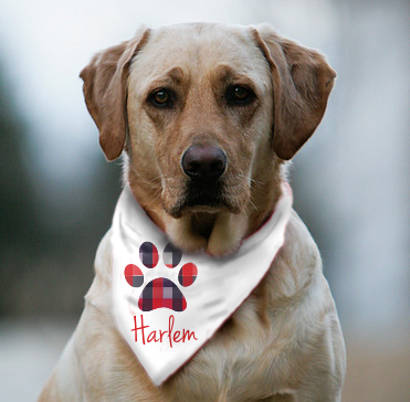 Custom Plaid Dog Bandana