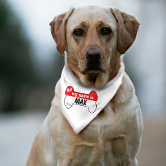 Dog Bandana - Hello!