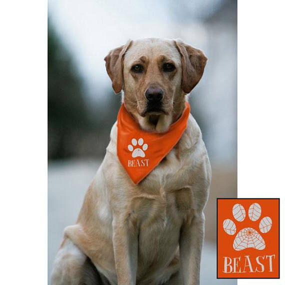 Reflective Custom Halloween Spider Web Dog Bandana