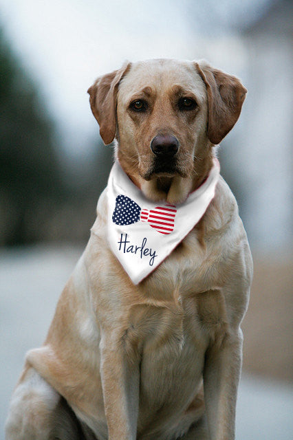 Stars and Stripes Bow Tie Dog bandana Custom dog name personalized bowtie Red White and Blue pet accessories pet scarf pet collar puppy