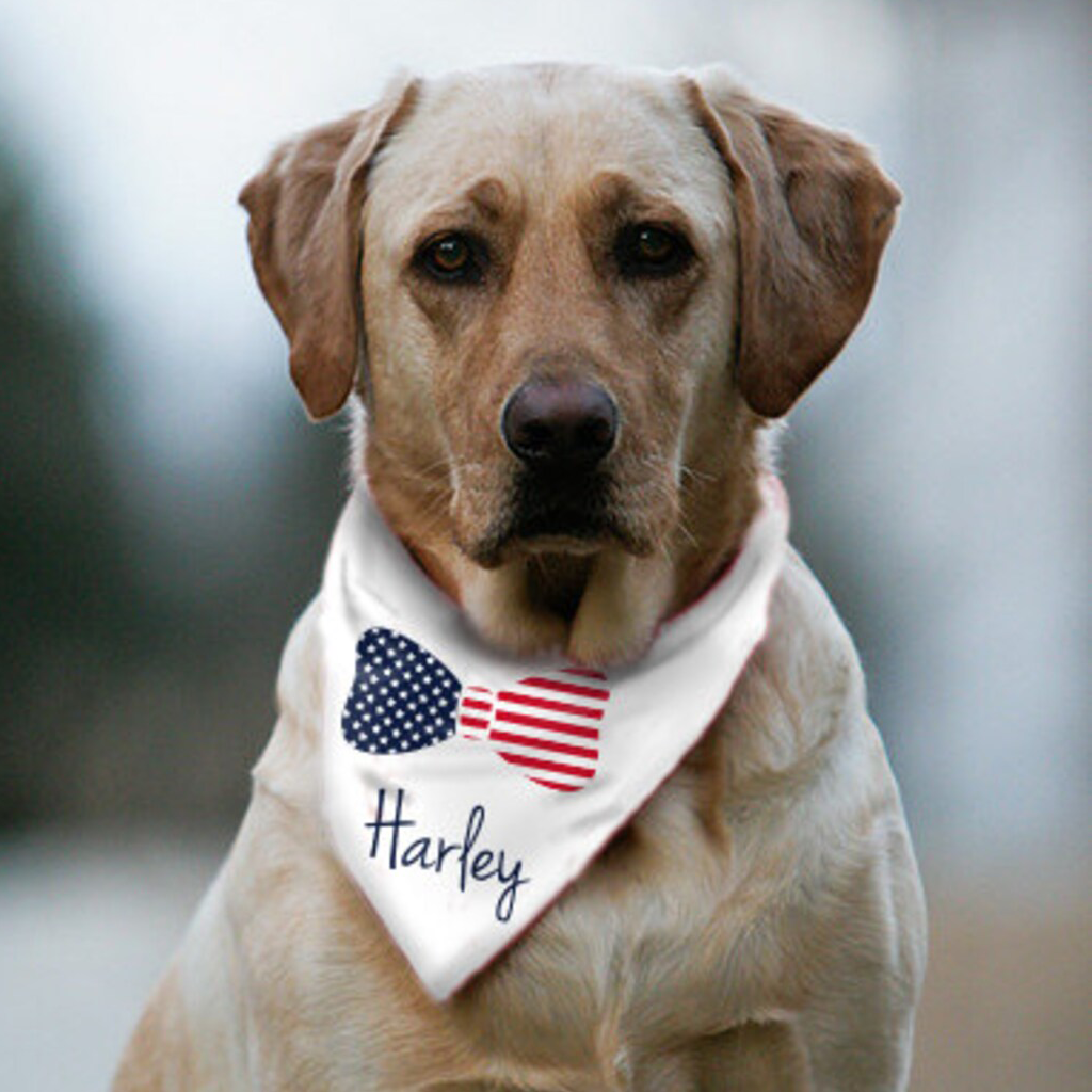 Stars and Stripes Bow Tie Dog Bandana with Custom dog name