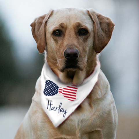 Stars and Stripes Bow Tie Dog Bandana with Custom dog name