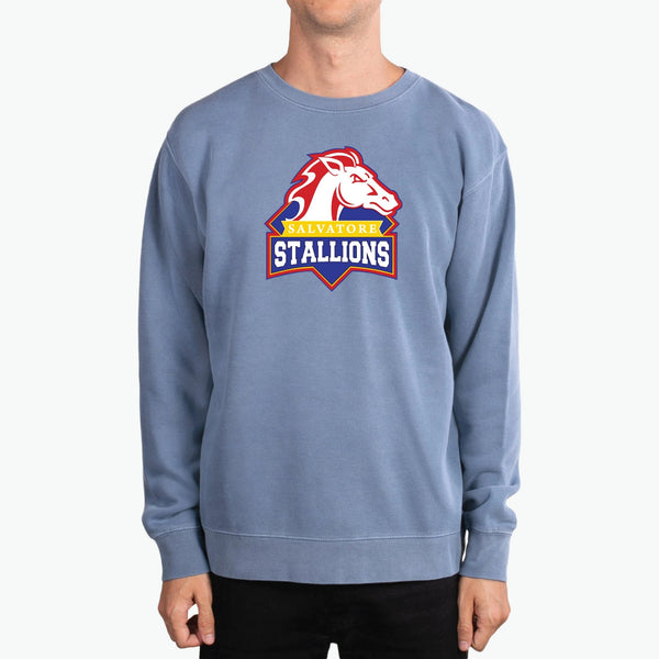 Salvatore Stallions Boarding School Unisex Heavyweight Pigment-Dyed Crewneck Sweatshirt / Salvatore / TV Show Legacies / Mikaelson Saltzman