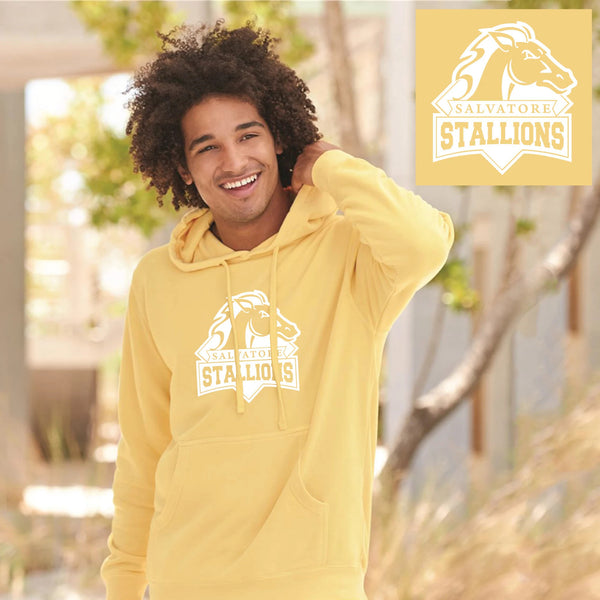 Salvatore Stallions Boarding School Midweight Hooded Sweatshirt / Legacies Boarding School / Mikaelson Saltzman / Vampire Dairies / Stallions / School