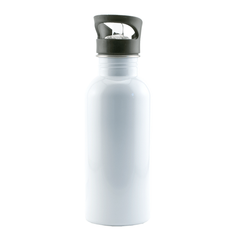 Stainless Steel Water Bottle 20oz