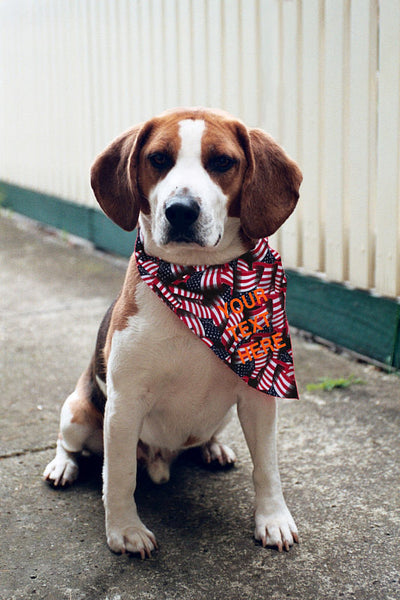 Custom Your Text Here Dog Bandana / Dog accessories / Dog Paw Print Red White Blue Dog Bandana / Personalized bandana dog American Flag