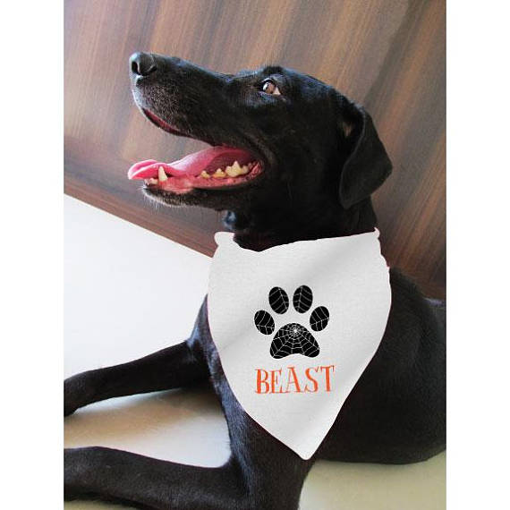 Custom Halloween Spider Web Paw Print Dog Bandana